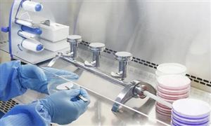 2024成人教育市场现状及发展趋势：成人教育的办学主体呈现多元化趋势(图7)