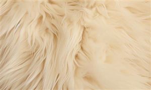 2024教育信息化行业市场的远景分析(图3)