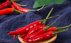 2024教育信息化行业市场的远景分析(图4)