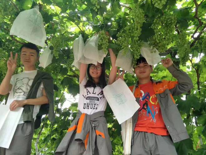 上海农林职业技术学院2024年高等学历继续教育招生简章(图3)