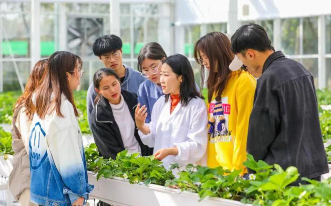 上海农林职业技术学院2024年高等学历继续教育招生简章(图2)