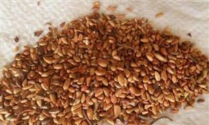 2024互联网教育行业发展前景研究：未来更加注重教育多元化需求(图4)