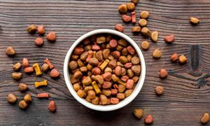 2024互联网教育行业发展前景研究：未来更加注重教育多元化需求(图5)