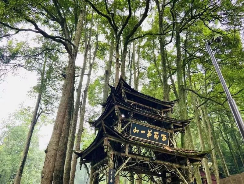 2024年都江堰景区门票优惠政策(图1)