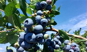 2024教育行业市场投资发展趋势：继续保持快速增长态势(图6)