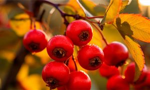 2024成人教育产业现状及未来发展趋势分析(图5)