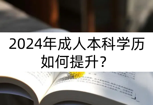 2024年成人本科学历如何提升？(图1)
