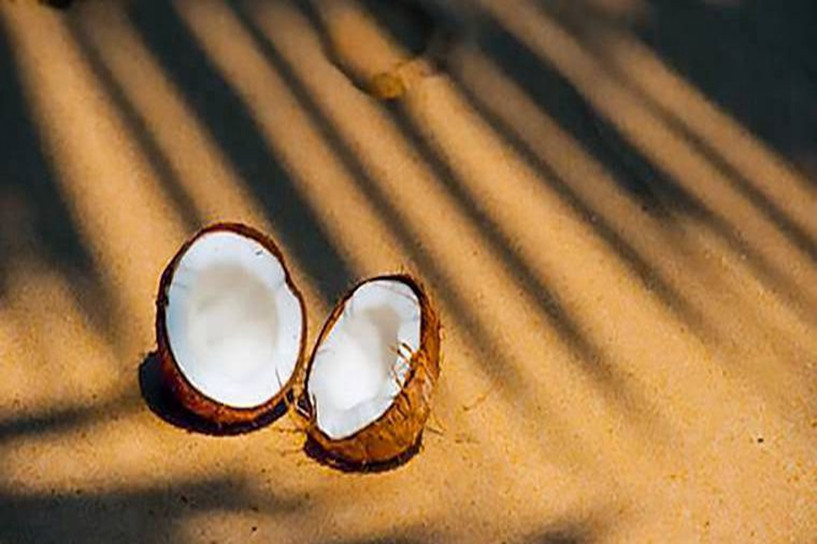 2024成人本科报名时间及考试时间是什么时候(图1)