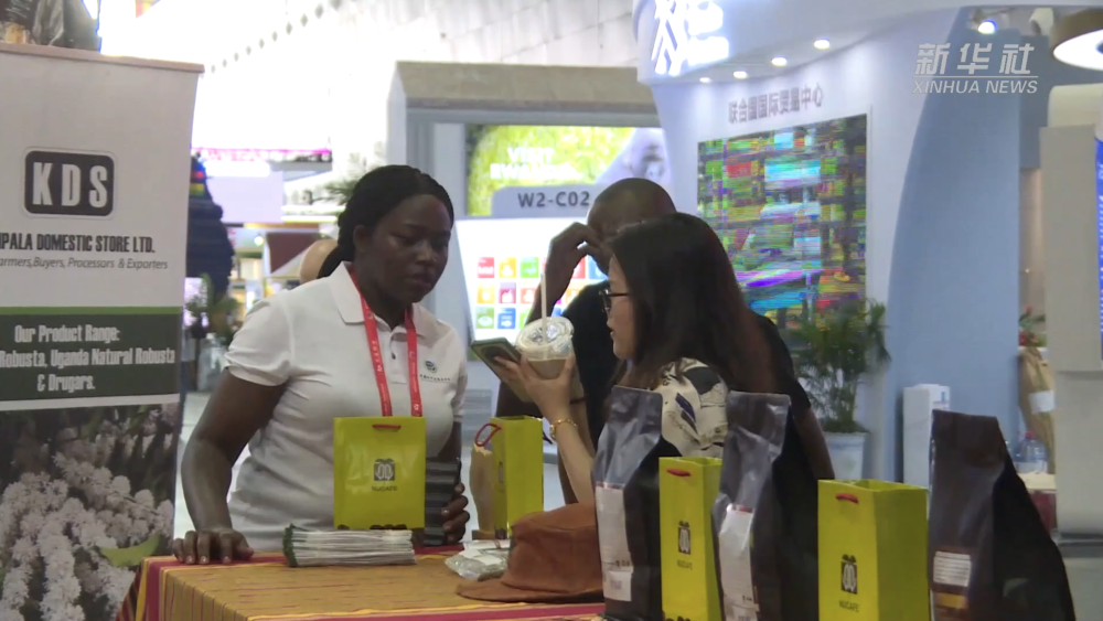 四季度这座城市拼了(图1)