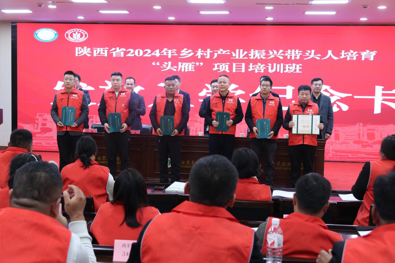 陕西省2024年乡村产业振兴带头人培育“头雁”项目培训班在西北农林科技大学启动(图4)