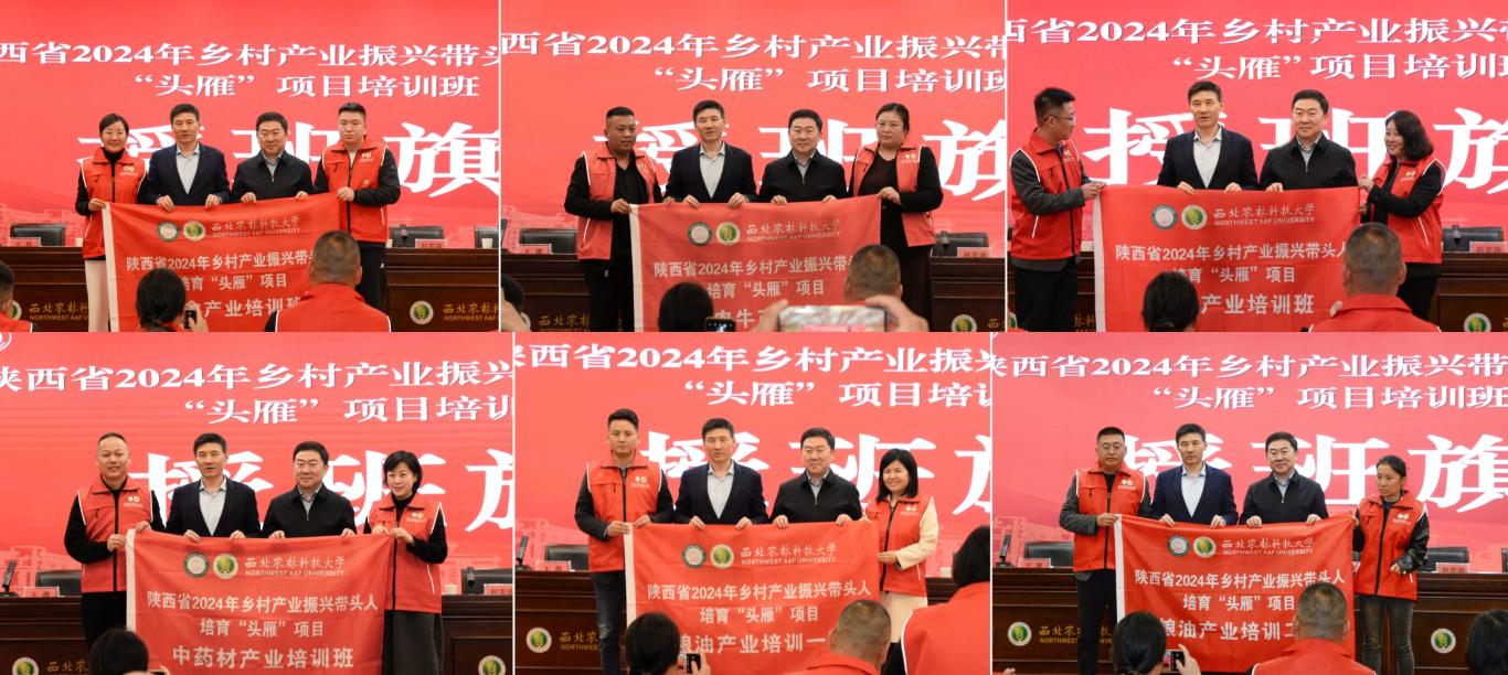 陕西省2024年乡村产业振兴带头人培育“头雁”项目培训班在西北农林科技大学启动(图5)