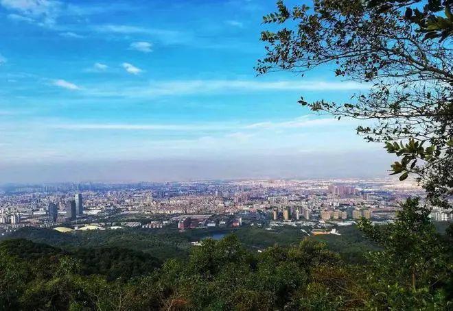 【粤海云港城】2024网站-售楼中心-欢迎您(图8)