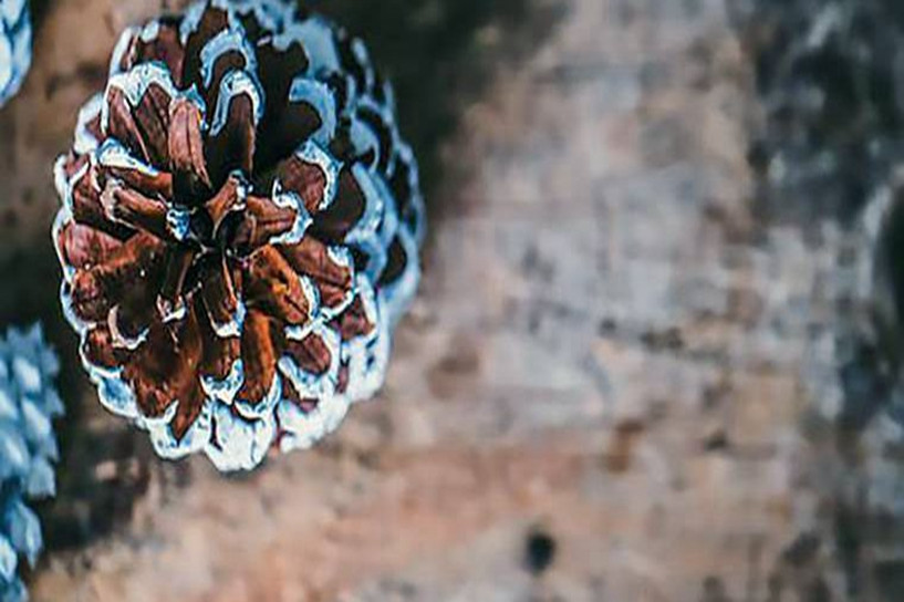 2024年全国成人教育网上报名时间及入口汇总(图1)