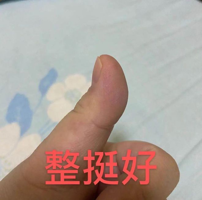 最快15年毕业！深圳想考大专、本科学历的赶紧看！(图8)