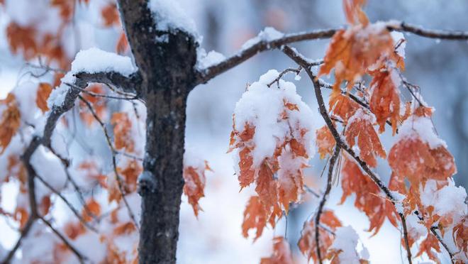 互联网+教育：网校如何助力教育公平与普及大象网盟(图1)