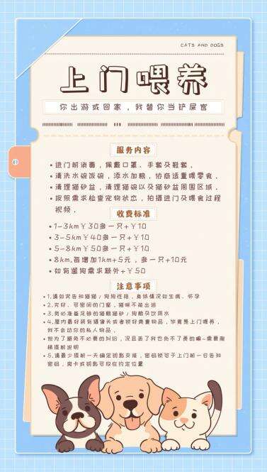 上门喂猫遛狗年轻人假期兼职“新赛道”(图2)