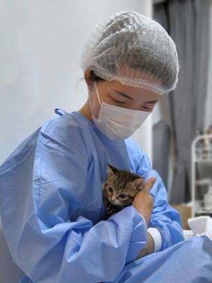 上门喂猫遛狗年轻人假期兼职“新赛道”(图1)