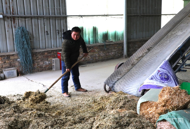 高质量发展看中国｜甘肃环县：王庄村的“羊”光大道(图3)