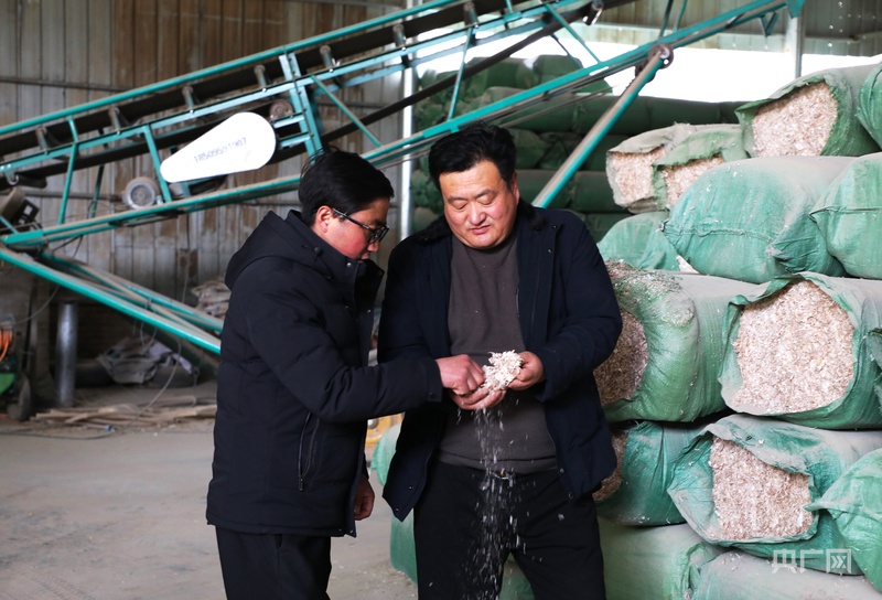 高质量发展看中国｜甘肃环县：王庄村的“羊”光大道(图2)