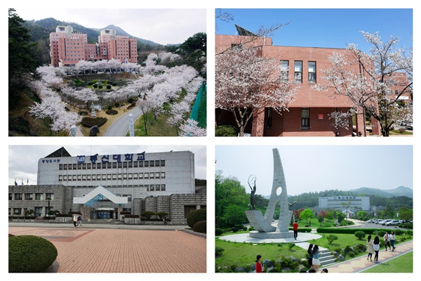 2025年春季韩国东新大学中文授课硕士申请指南(图2)