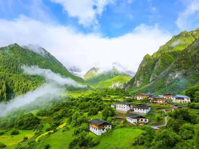 云南省商务厅副厅长_寸敏(图2)