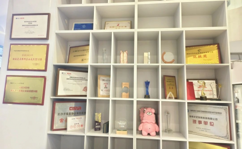 破浪AI+教育新蓝海羊驼教育荣膺湘江新区行业标杆称号(图2)