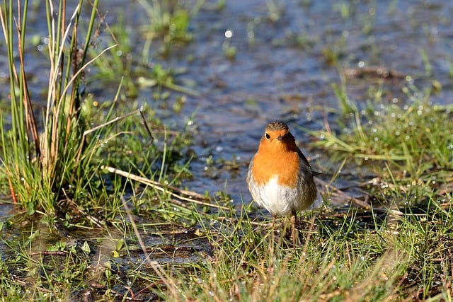 2024年成人高考报名须知（详情）(图3)