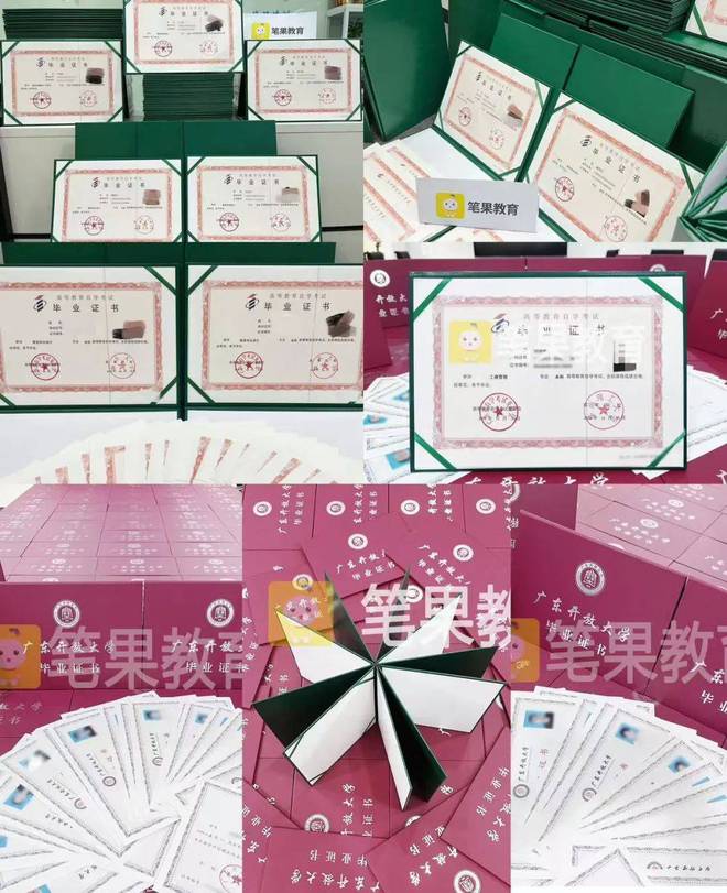 深圳市笔果教育科技有限公司(图8)