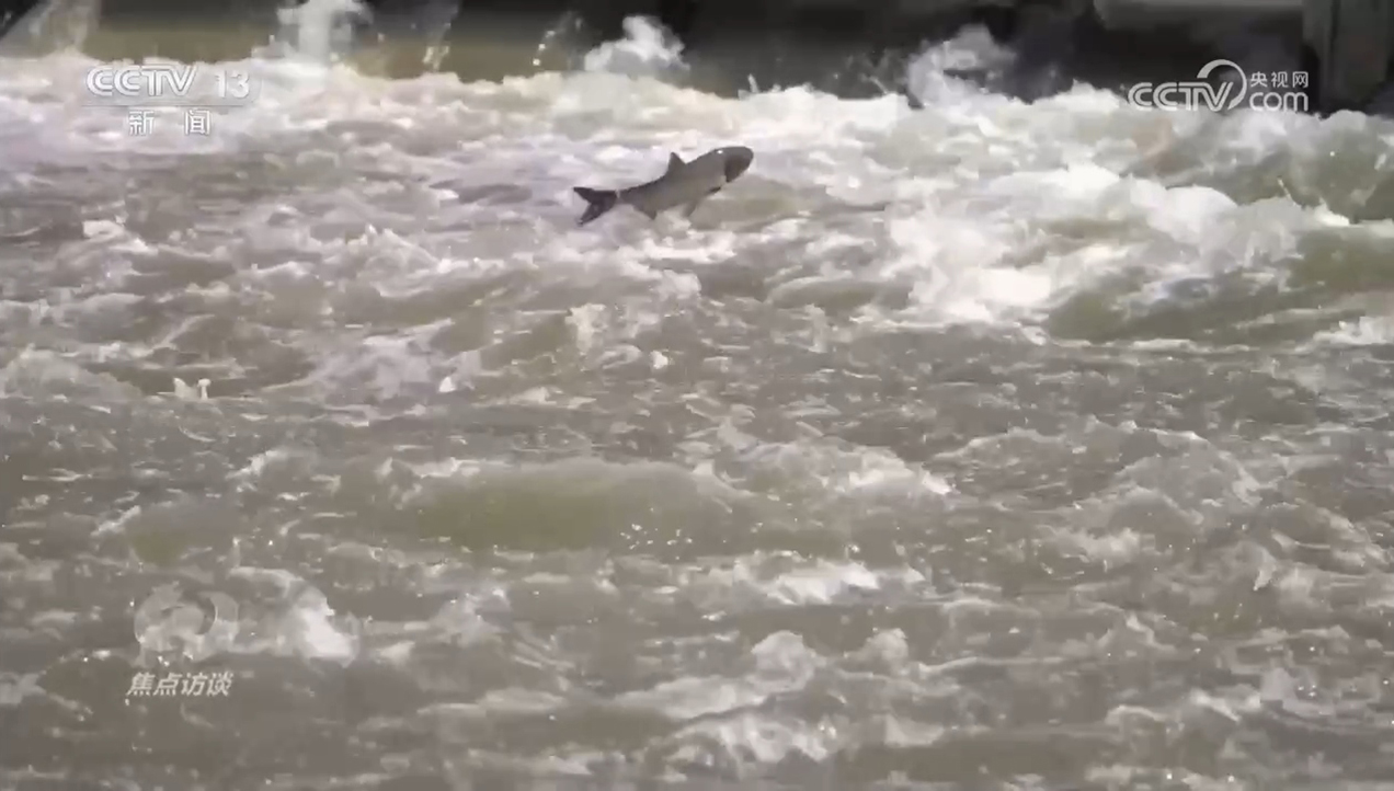 焦点访谈|生物多样性助力我国经济高质量发展(图3)