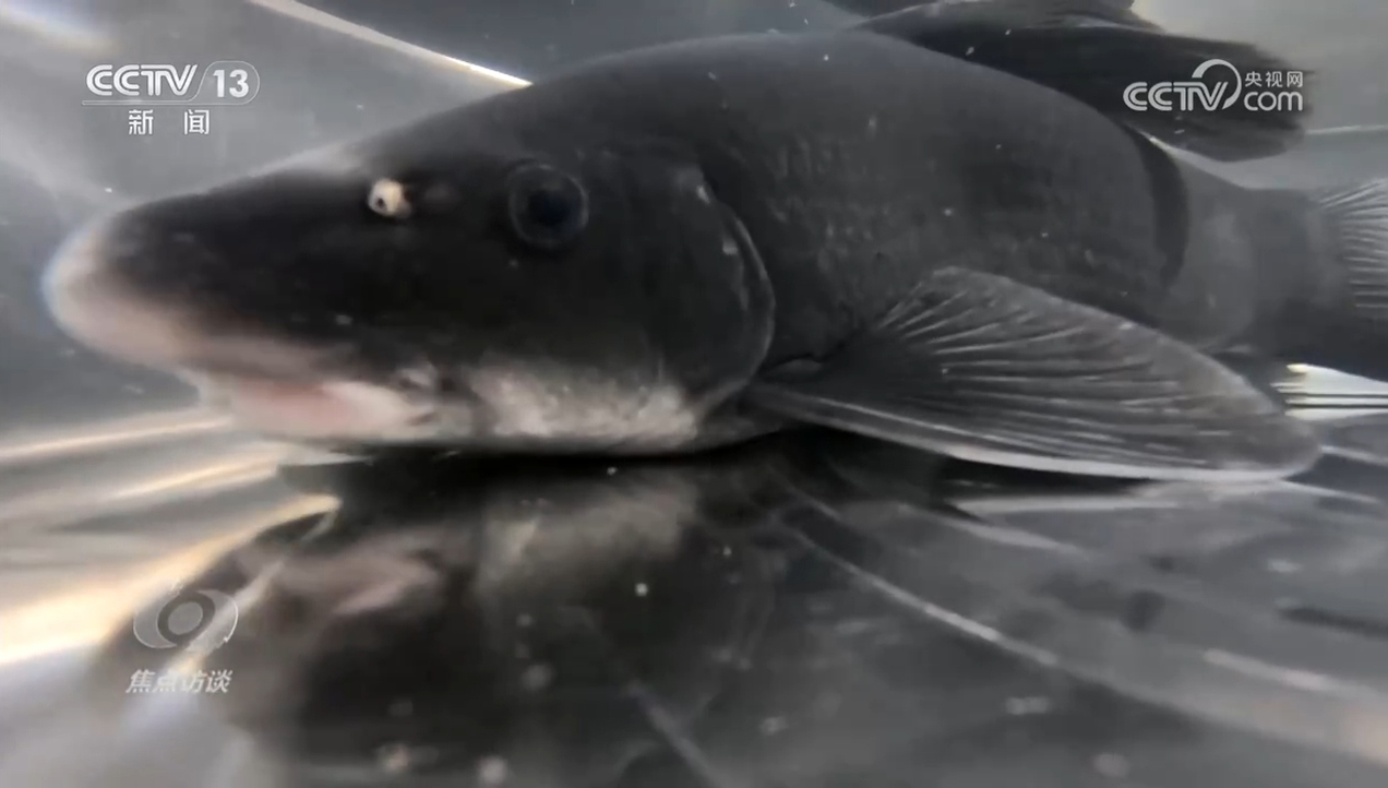 焦点访谈|生物多样性助力我国经济高质量发展(图2)