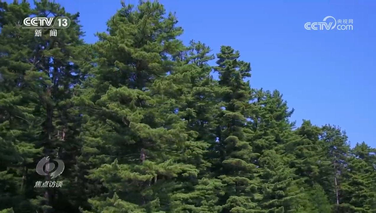 焦点访谈|生物多样性助力我国经济高质量发展(图7)