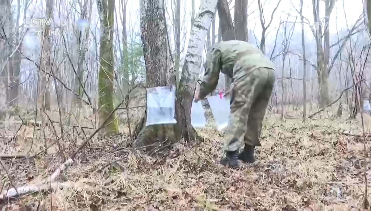 焦点访谈|生物多样性助力我国经济高质量发展(图13)