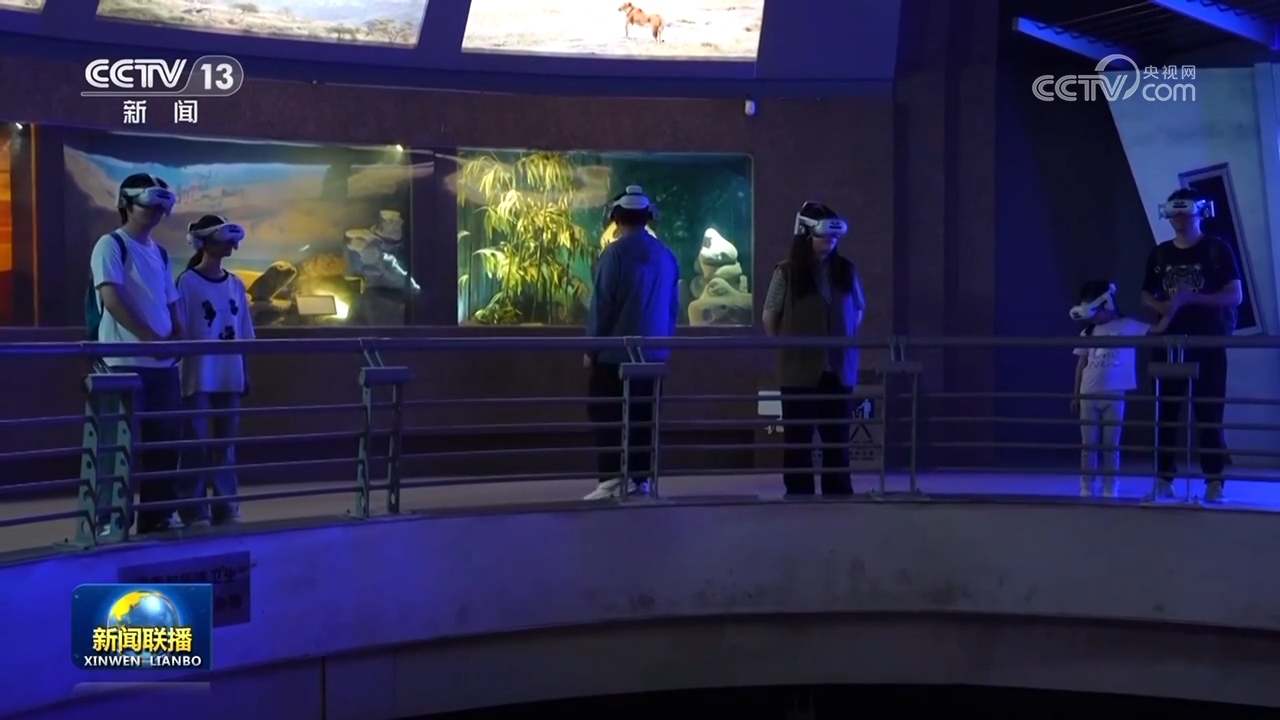 从传统文化创新到重大工程建设多领域并进绘就高质量发展新图景(图2)