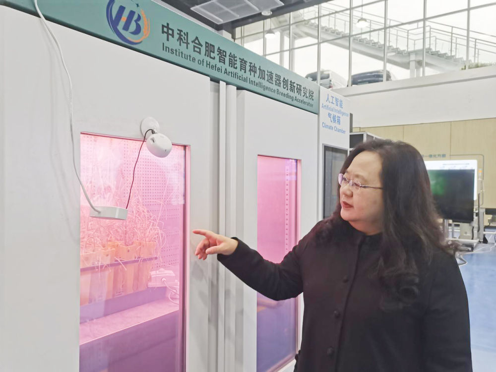 在安徽“智见”未来(图4)