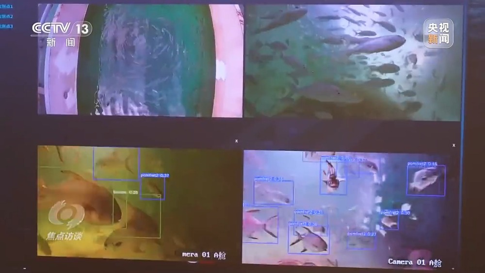 焦点访谈丨从智慧城市到数字乡村“十四五”数字中国建设交出亮眼成绩单(图3)
