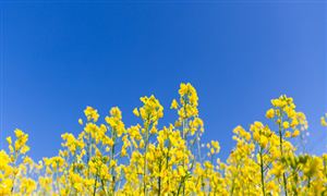 2024智慧教育市场机遇深度调研分析(图2)