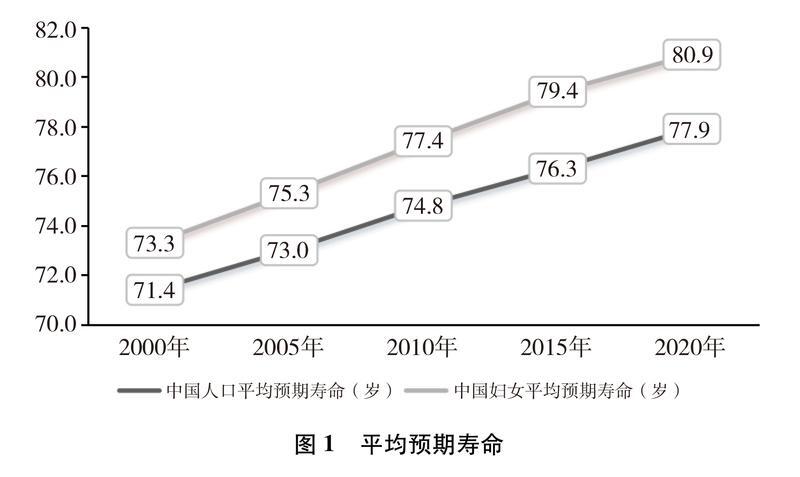 新时代中国推进妇女全面发展的实践与成就(图6)
