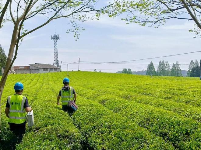 电普10年｜数字赋能点亮黔贵大地(图3)