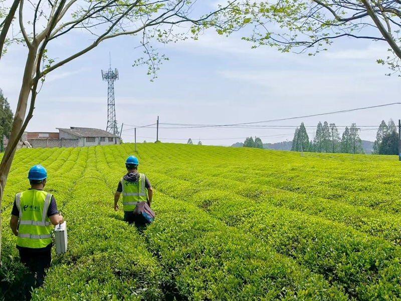 电普10年数字赋能点亮黔贵大地(图3)