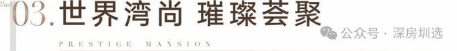 深圳【中铁阅臻府】售楼处发布【阅臻府】楼盘详情_户型_价格(图10)