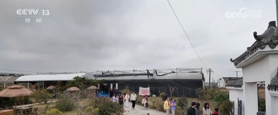 百姓“家门口”享受优质家庭教育服务多种方式帮助家长缓解“育儿焦虑”(图3)