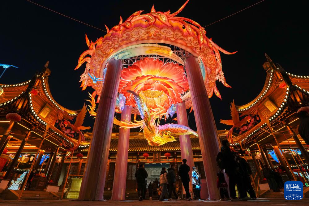 江苏南京:灯彩亮迎新年(图2)