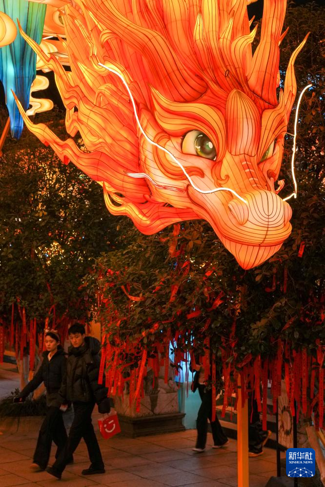 江苏南京:灯彩亮迎新年(图4)