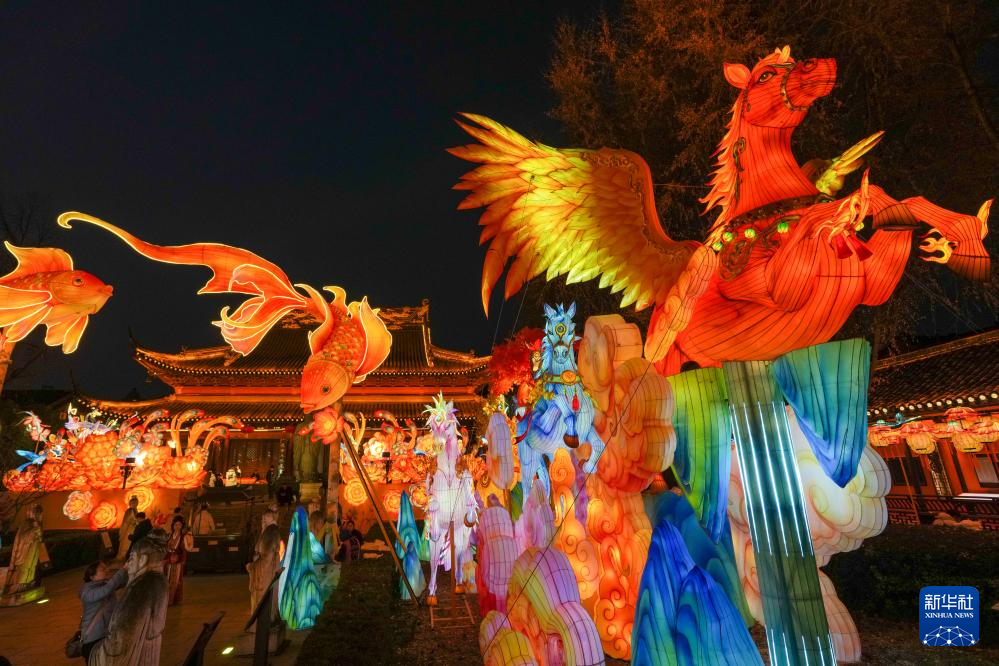 江苏南京:灯彩亮迎新年(图5)