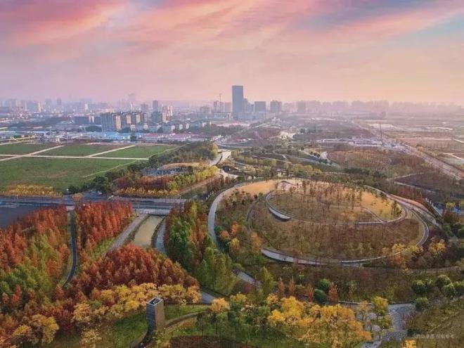 宝华紫薇之星上海售楼处发布-首页-首页网站楼盘详情-户型(图11)