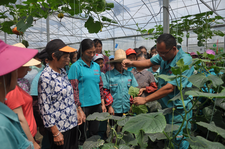 在井冈山上“种”科技——科技部帮扶谱写老区振兴新篇章(图4)
