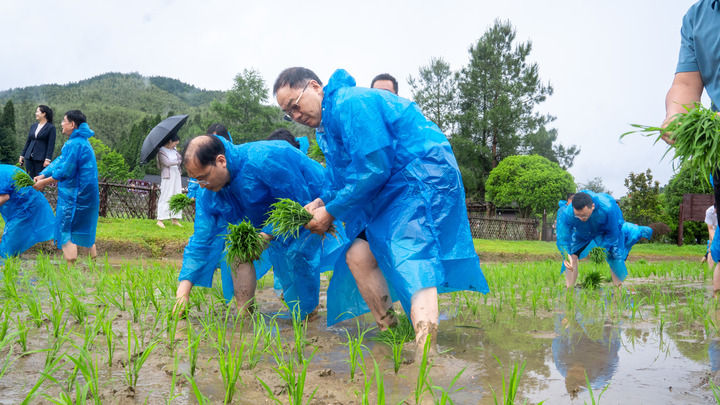 在井冈山上“种”科技——科技部帮扶谱写老区振兴新篇章(图3)