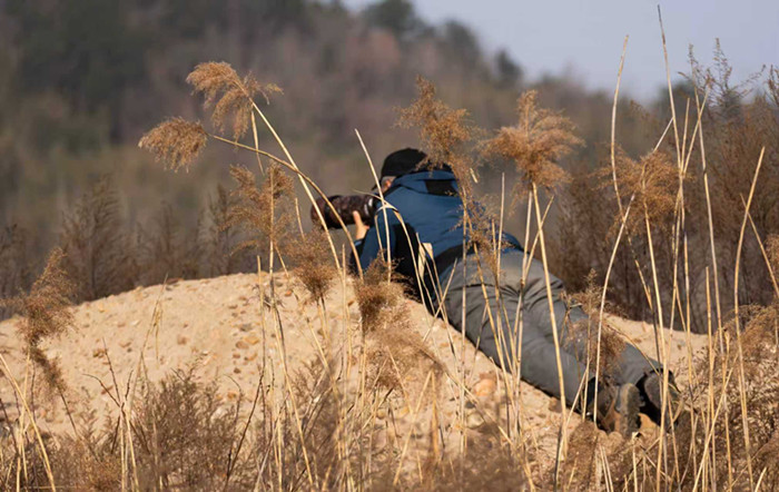 278只“鸟中大熊猫”的安徽越冬记黄山学院团队用坚守交出江淮生态高分答卷(图3)
