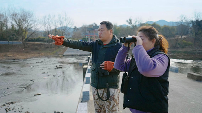 278只“鸟中大熊猫”的安徽越冬记黄山学院团队用坚守交出江淮生态高分答卷(图4)