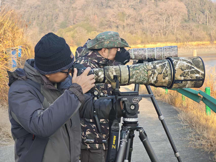 278只“鸟中大熊猫”的安徽越冬记黄山学院团队用坚守交出江淮生态高分答卷(图5)